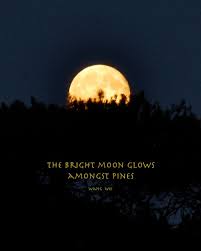 Full Moon Quotes The Bright Moon Glows Amongst Pines By Wang Wei Full Moon Quotes Moon Quotes Picture Quotes