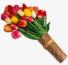 We did not find results for: Yellow Flower Clipart Welcome Flower Retirement Wishes In Telugu Png Image Transparent Png Free Download On Seekpng