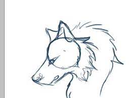 All you need is something to draw with, we're using. How To Draw A Wolf Head Anime Novocom Top
