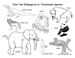 King komodo is an evil mutant komodo dragon the enemy of turtles and a servant of the go komodo. Endangered Animals Coloring Page