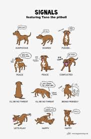 Dog Signals What Is Their Body Language Telling You Dogbodylanguage Dog Training Dog Body Language Dog Brain