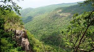 Perjalanan haji lulung dari seorang pemulung menjadi pengusaha dan pejabat sukses.,haji lulung,lulung lunggana,viral hari ini,ragam konten . Lulung Forest Lodge Reviews Simlipal National Park Odisha Tripadvisor