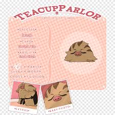 Papel Rosa M Rtv Rosa Fuente Sala Texto Rosa M Png Pngegg