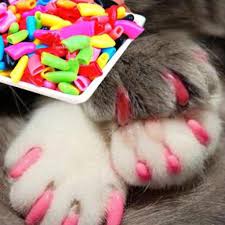 20pcs cat kitten nail caps soft gel pet paws claw covers clear glue s8ycba9