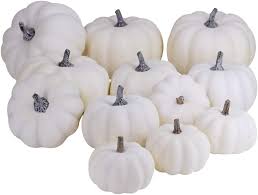 We did not find results for: Amazon Com 12 Pcs Assorted Sizes Rustic Harvest White Artificial Pumpkins For Halloween Fall Thanksgiving Decorating Harvest Embellishing And Displaying Kitchen Dining