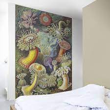 behang op maat naturalis unlimited behang muurposters murals en decoratie op basis van de natuurhistorische collectie van nat behang muurposter decoratie