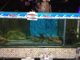 Maybe you would like to learn more about one of these? Late Dinner Picture Of Bandar Djakarta Ancol Jakarta Tripadvisor