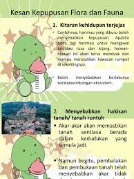 Di indonesia penyebaran flora dan fauna asli indonesia dipengaruhi oleh beragam hal seperti halnya aspek geografi. Kesan Kepupusan Flora Dan Fauna
