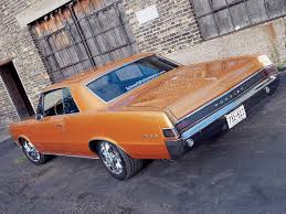 Image result for Tiger Gold 1965 GTO