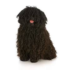 Acconciatura, scultura, stili di capelli lunghi, animali. 12 Razze Di Cani Che Hanno Un Pelo Davvero Strano