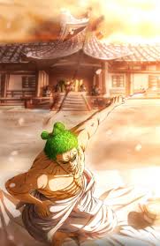 We've gathered more than 5 million images uploaded by our users and sorted them by the most popular ones. Zoro Wallpaper Nawpic