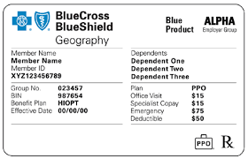 In missouri, (excluding 30 counties in the kansas city area) anthem blue cross and blue shield is the trade name of rightchoice® managed care, inc. Https Www Bcbsnm Com Pdf Quick Guide Member Cards Pdf