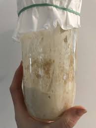 Como Hacer La Masa Madre Paso A Paso Masa Madre Masa Para Pan Casero Masa Para Pizza Facil