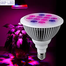 China Small Grow Led 12w 24w E27 Par38 Led Grow Lights China 12w Grow Led Lights Grow Lights