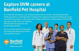 Aktuelle top jobs im mittelstand finden. Kimberly Ann Therrien Vice President Of Veterinary Quality Central And Midwest Region Banfield Pet Hospital Linkedin