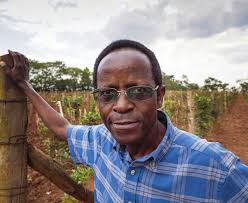 Can Sweet Potatoes Save the World?