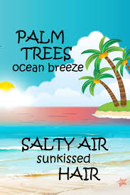 101 palm quotes follow in order of popularity. Palm Trees Ocean Breeze Salty Air Sunkissed Hair Cute Summer Quote Notebook Journal Diary For Everyone Palm Trees Sunshine And Beach Press Robimo 9781075377693 Amazon Com Books