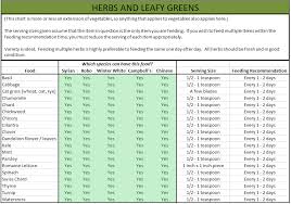 hamster nutrition v safe fruits vegetables and other