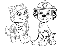 95 best paw patrol images in 2020 paw patrol paw patrol. Paw Patrol Skye Und Everest Ausmalbilder Novocom Top