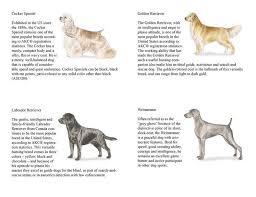 Write in 200 words or more about the care, feeding, and housing of your pet. Dog Care Merit Badge Requirements Edukasi News