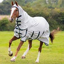 Shires Sweet Itch Combo Fly Rug White Navy Green Fly Rugs Horse Blankets Horse Rugs