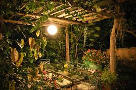 Night Garden Romantic Garden Plants