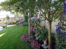 Dsc00557 Landscaping Along Fence Backyard Flowers Fence Landscaping