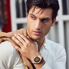 SAPPHERO Watches Men Quartz Analog Chronograph 50M Waterproof Stainless  Steel Business Elegant Gift for Men, golden brown, Bracelet : Amazon.es:  Fashion