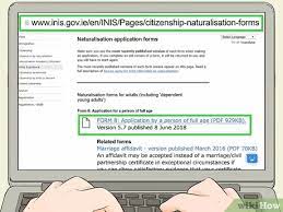 Believe it or not, applying for irish citizenship is ridiculously easy. Simple Ways To Get Irish Citizenship 9 Steps With Pictures