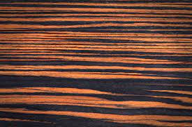 Ebenholz sägefurnier aus westafrikanischem ebenholz bei www.edelholzverkauf.de höchste qualität durch den einschnitt. Ebenholz Eigenschaften Verwendung Und Preise