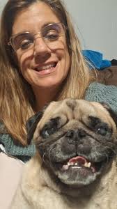 Pug with idiopathic vestibular disease symptoms