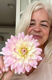 Dahlia bloom becomes more beautiful