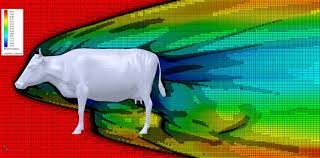 I was trying to find a number for the aerodynamics of a cow, but couldn't find it. Aerodynamics Of A Cow 9gag