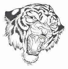 Although the lion is not the largest, fastest or most lethal animal, its position as king of beasts has rarely been challenged. Tiger Coloring Pages For Kids 101 Coloring