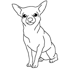 Maybe you would like to learn more about one of these? Chihuahua Dog Posing Coloring Pages Netart