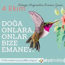 Dunya Hayvanlari Koruma Gunu Kucuk Buyuk Tum Hayvan Dostlarimiz Icin Kutlu Olsun Bir Gun Degil Her Gun Gozumuz Uzerlerinde Olsun Hayvan Haklari Hayvan Mutlu