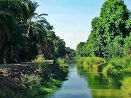 algorer northern state sudan القرير الولاية الشمالية sudan algorer photo art inspiration outdoor