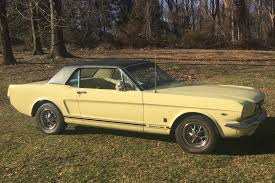 Image result for Springtime Yellow 1966 Mustang
