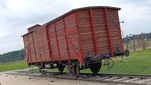 Image result for cattle cars