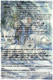 Sleepy Numerology Humor Numerologysg Numerologyreport Animal Reiki Spiritual Reading Reiki