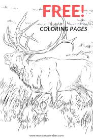 Get Your Free Download Of Not One But Two Coloring Books With Over 70 Pages Of Big Game Original Artwork For Elk Hunting Whitetail Deer Pictures Elk Pictures