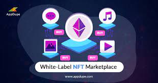 We deliver customers a user experience that is easy and secure to use in their daily transactions. White Label Nft Marketplace Solution Launch Your White Label Nft Marketplace