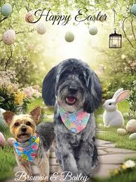 Doodles 'N More Grooming added...