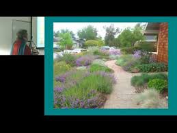 We did not find results for: Converting A Lawn To A Native Plant Garden 1 Youtube