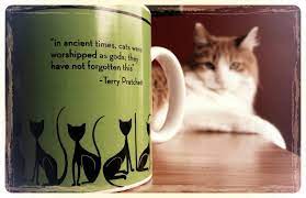 My Cat Embodies This Pratchett Quote R Discworld
