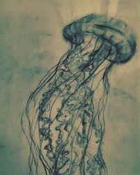 Check spelling or type a new query. Pin By Daniela Bengoa On Animals In 2021 Jellyfish Illustration Pet Jellyfish Jellyfish Print