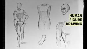 Here presented 65+ human body anatomy drawing images for free to download, print or share. How To Draw Human Anatomy Easily For Beginners Youtube
