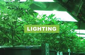 Plug in a good aquarium air pump 3 watt mini, put in clay balls, fertilised we have a hydro garden that the wife uses every year to grow vegetables. The Green Mountain Company Hydroponics Garden Specialists