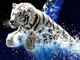 267 White Tiger Hd Wallpapers Background Images Wallpaper Abyss