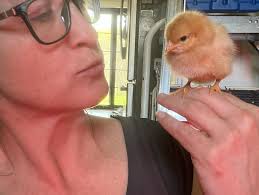 Bull House Winery added a new photo.